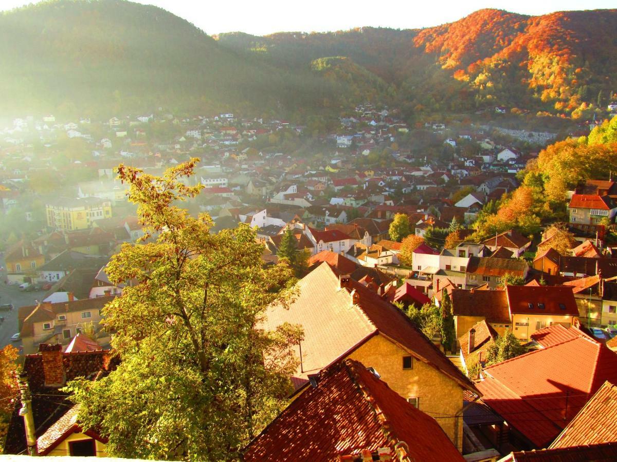 Vila Paul Best Paronamic View Over Medieval Historical Centre Braşov Exterior foto